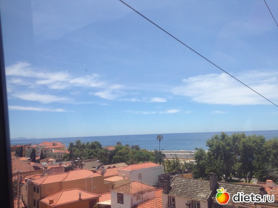 83 ����: ������� ���� 2016