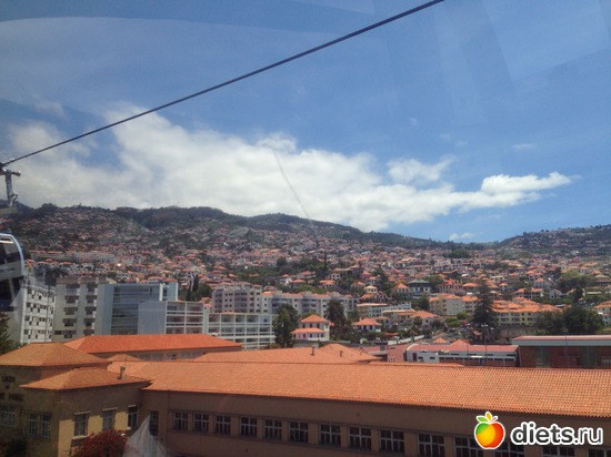 84 ����: ������� ���� 2016