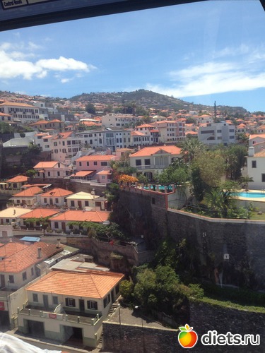 88 ����: ������� ���� 2016