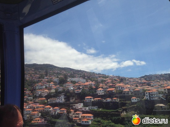 91 ����: ������� ���� 2016