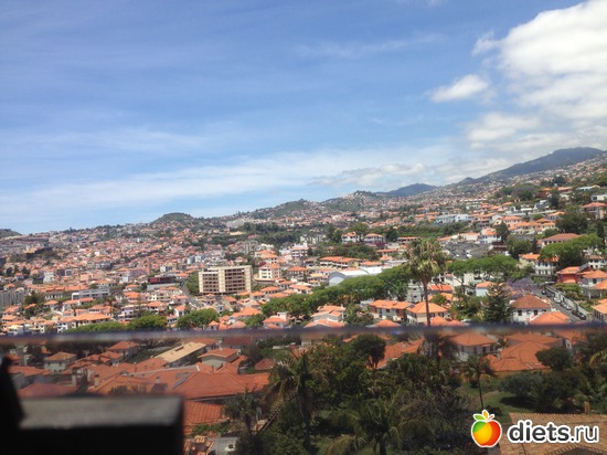 93 ����: ������� ���� 2016