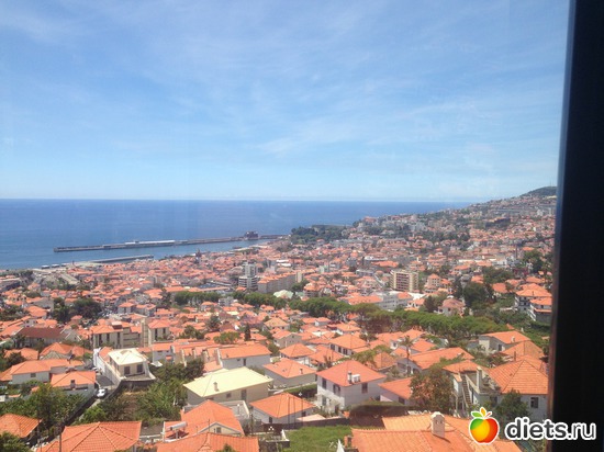 94 ����: ������� ���� 2016