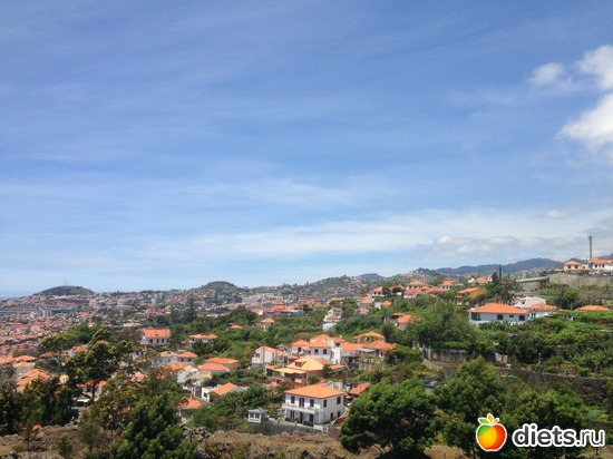 97 ����: ������� ���� 2016