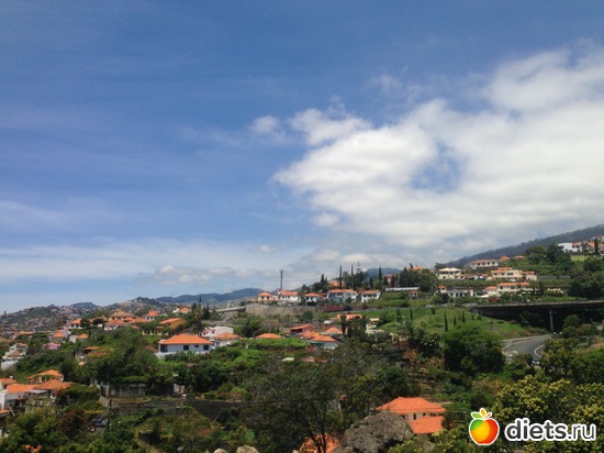 98 ����: ������� ���� 2016