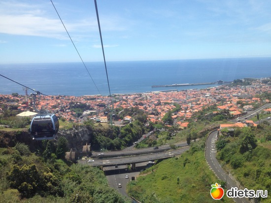 99 ����: ������� ���� 2016