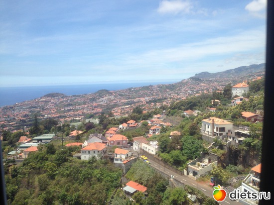 100 ����: ������� ���� 2016