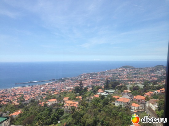 101 ����: ������� ���� 2016