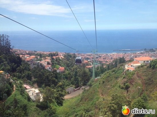 102 ����: ������� ���� 2016