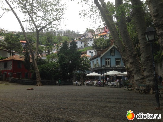 103 ����: ������� ���� 2016