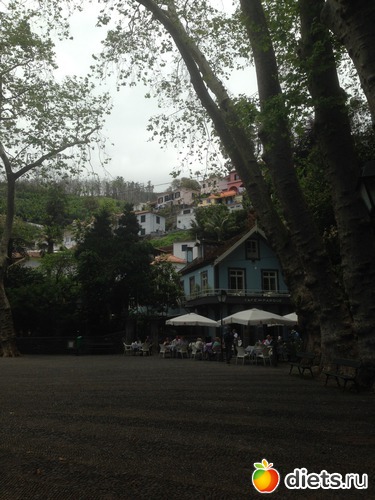 104 ����: ������� ���� 2016