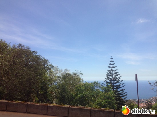 106 ����: ������� ���� 2016