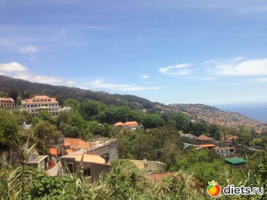 109 ����: ������� ���� 2016