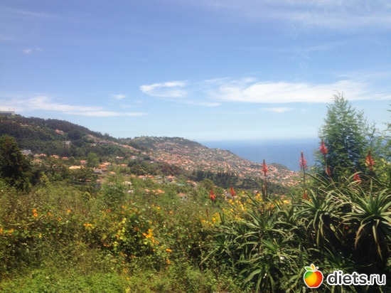 110 ����: ������� ���� 2016