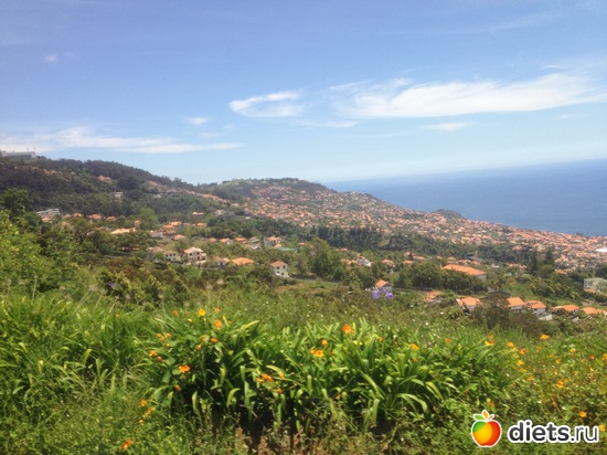 111 ����: ������� ���� 2016