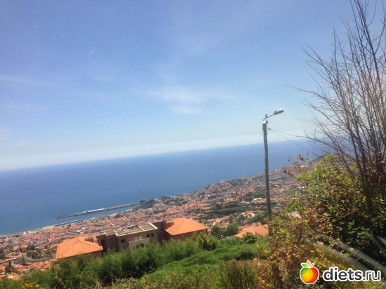 113 ����: ������� ���� 2016