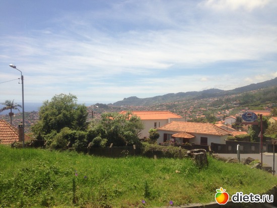 114 ����: ������� ���� 2016