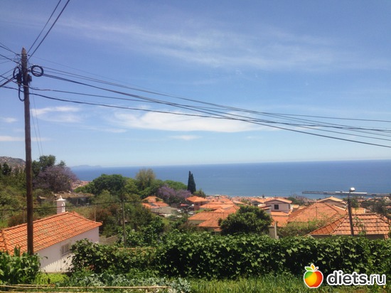 115 ����: ������� ���� 2016