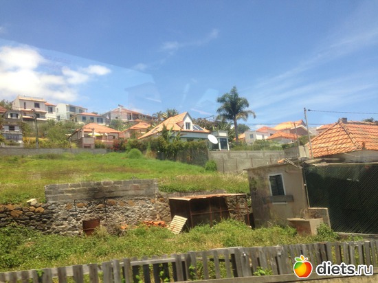 117 ����: ������� ���� 2016