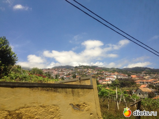 118 ����: ������� ���� 2016