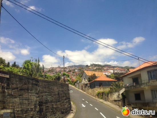 119 ����: ������� ���� 2016