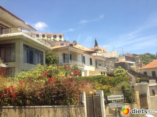 121 ����: ������� ���� 2016