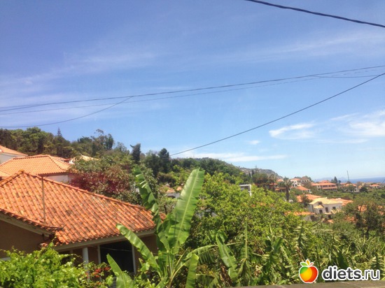 123 ����: ������� ���� 2016