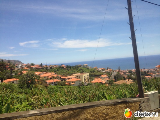 124 ����: ������� ���� 2016