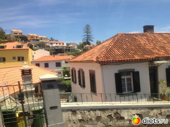 126 ����: ������� ���� 2016