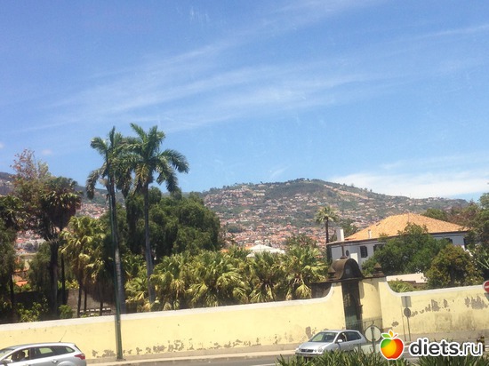 132 ����: ������� ���� 2016