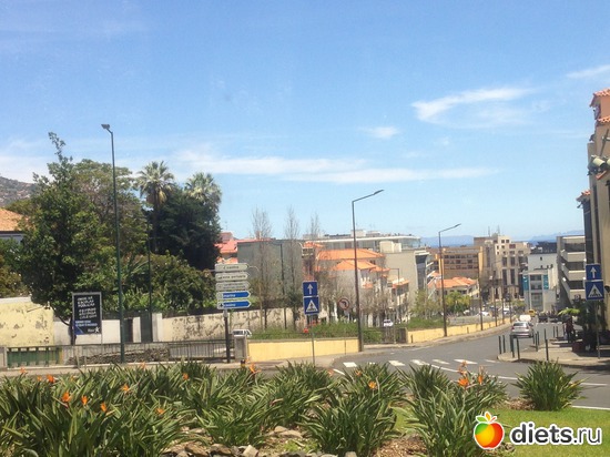 133 ����: ������� ���� 2016