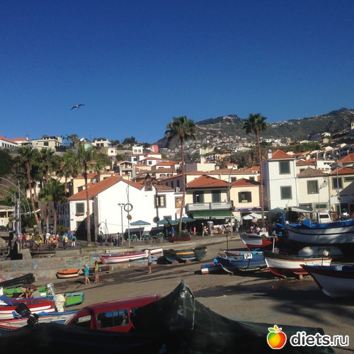 136 ����: ������� ���� 2016