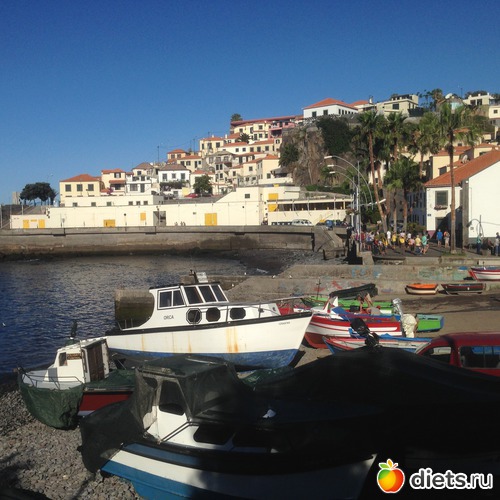 137 ����: ������� ���� 2016