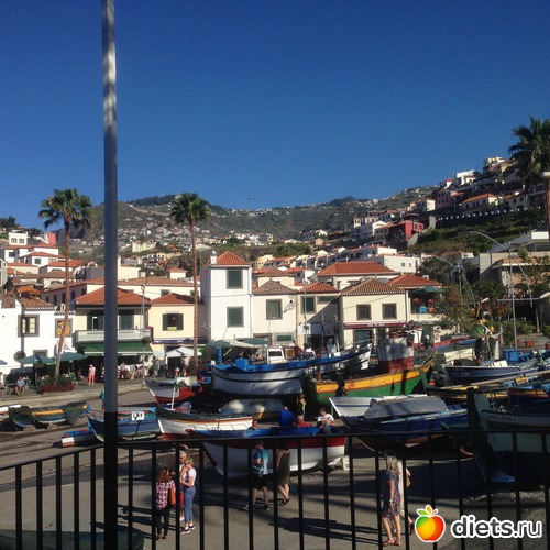 138 ����: ������� ���� 2016