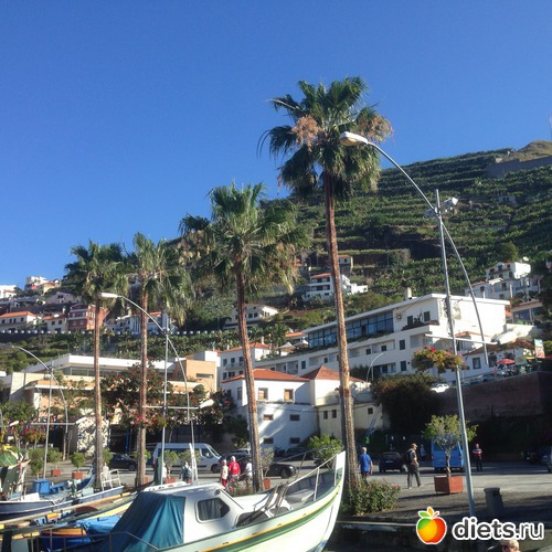 139 ����: ������� ���� 2016