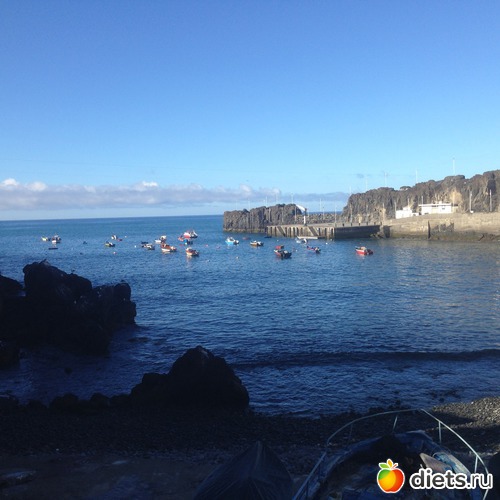 141 ����: ������� ���� 2016