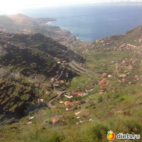 149 ����: ������� ���� 2016