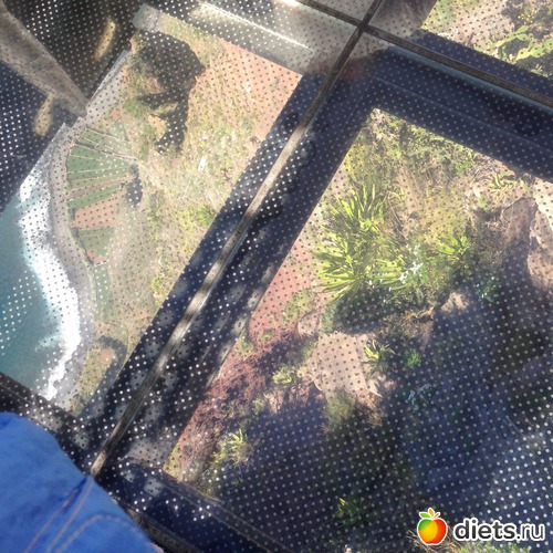 157 ����: ������� ���� 2016