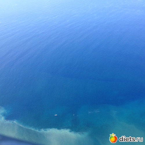 159 ����: ������� ���� 2016