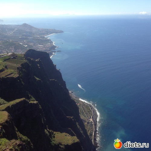 161 ����: ������� ���� 2016