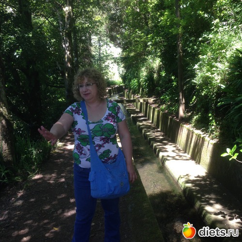 182 ����: ������� ���� 2016