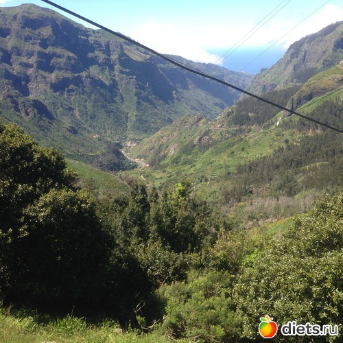 184 ����: ������� ���� 2016