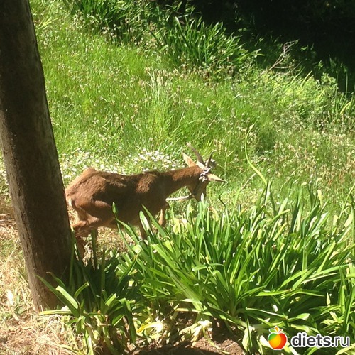 185 ����: ������� ���� 2016