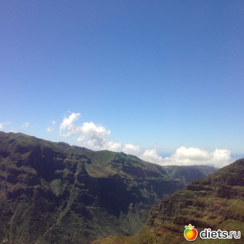 186 ����: ������� ���� 2016