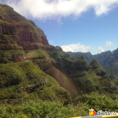 194 ����: ������� ���� 2016