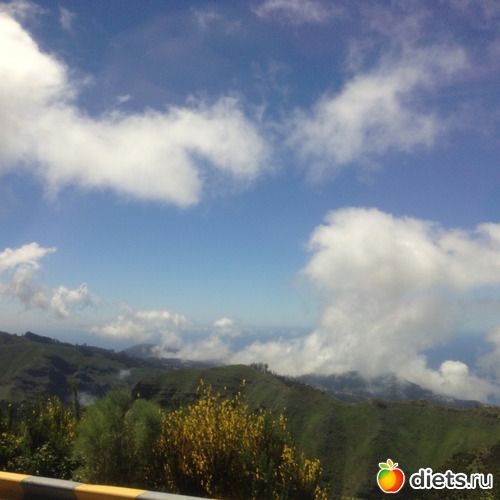 196 ����: ������� ���� 2016