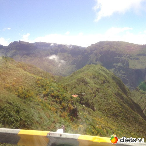 197 ����: ������� ���� 2016