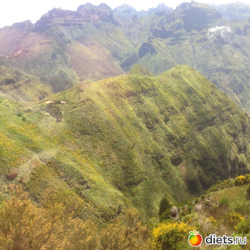 199 ����: ������� ���� 2016