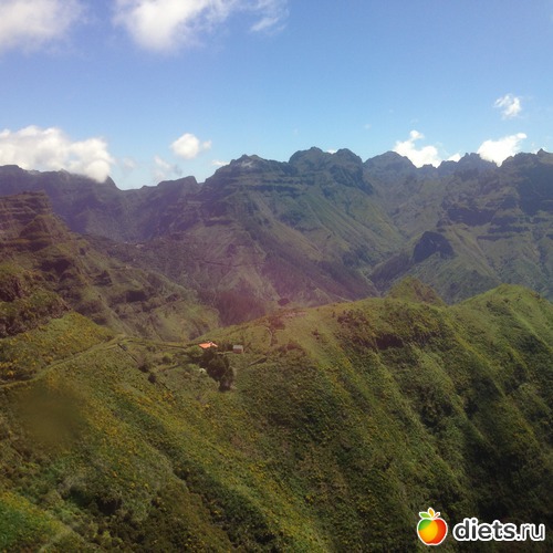 202 ����: ������� ���� 2016