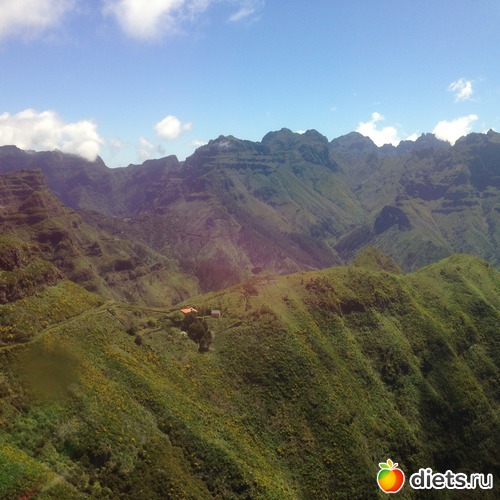 203 ����: ������� ���� 2016