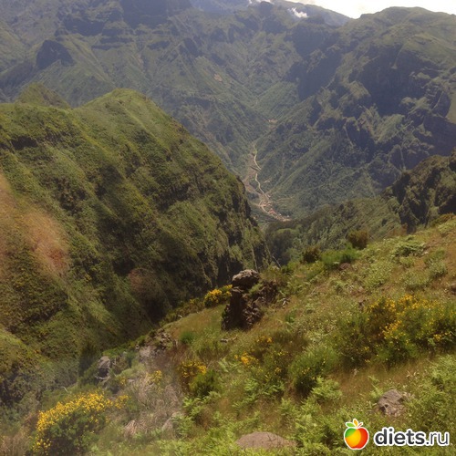 204 ����: ������� ���� 2016